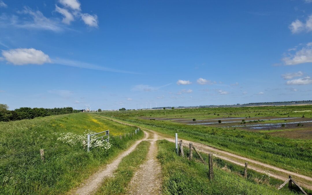 Update Dijkversterking Willemstad-Noordschans