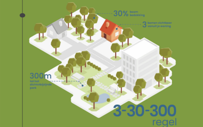 Doe mee aan de Vergroeningsplannen: We zoeken enthousiaste inwoners!