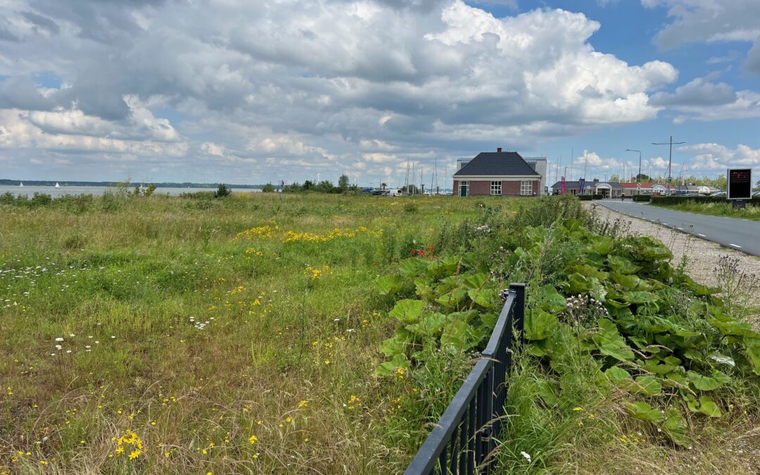 Laatste oproep: vorming werkgroep Havenfront onzeker