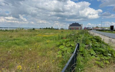 Laatste oproep: vorming werkgroep Havenfront onzeker